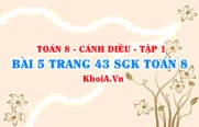 Bài 5 trang 43 SGK Toán 8 tập 1 Cánh Diều